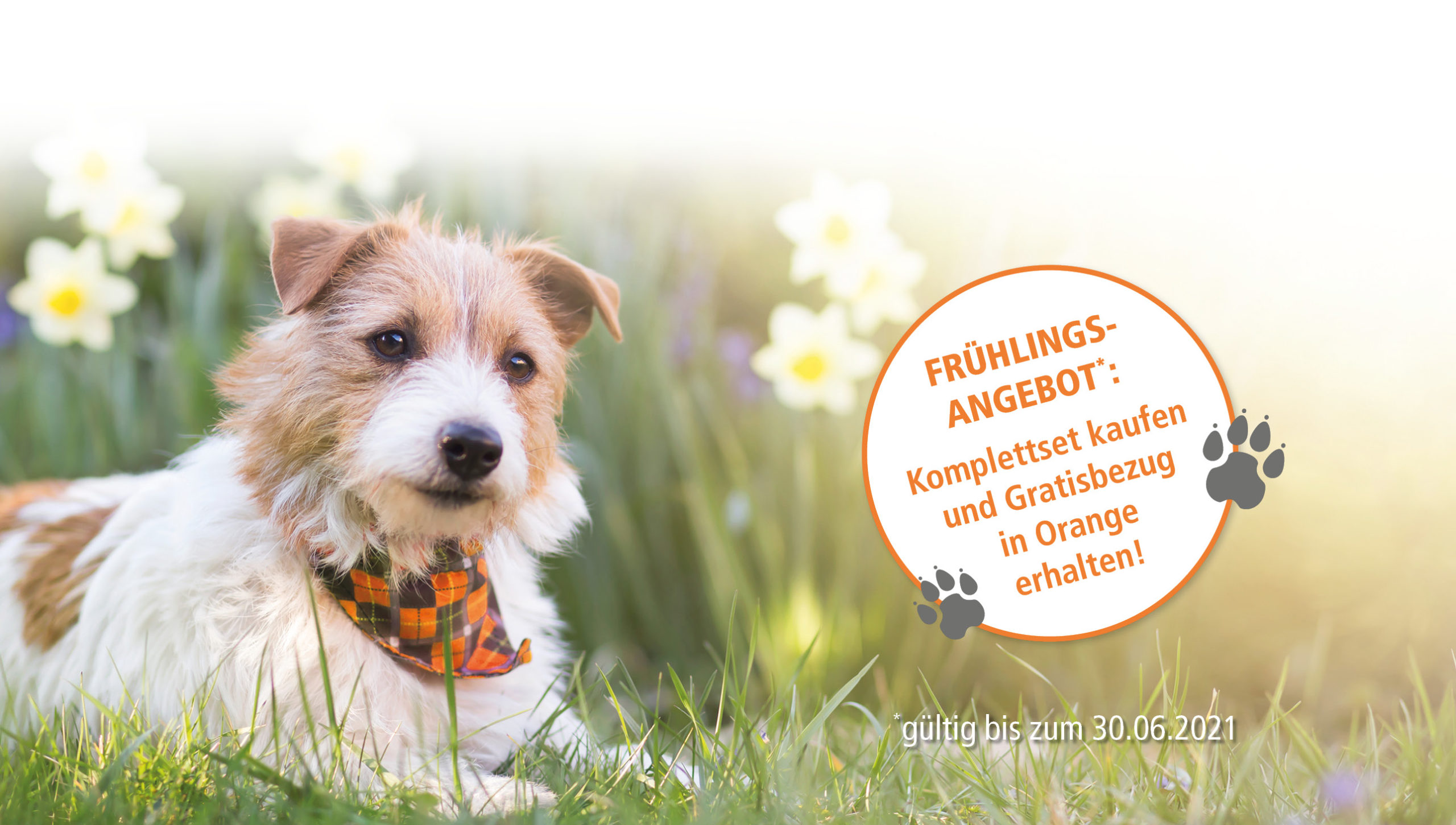 AnubiMed_Fruehlingsaktion