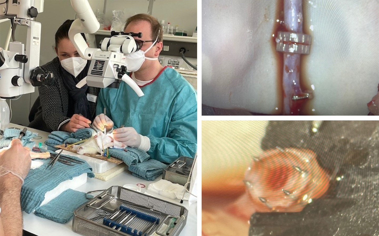 Gefäßkoppler Kurs an der Universität Ulm